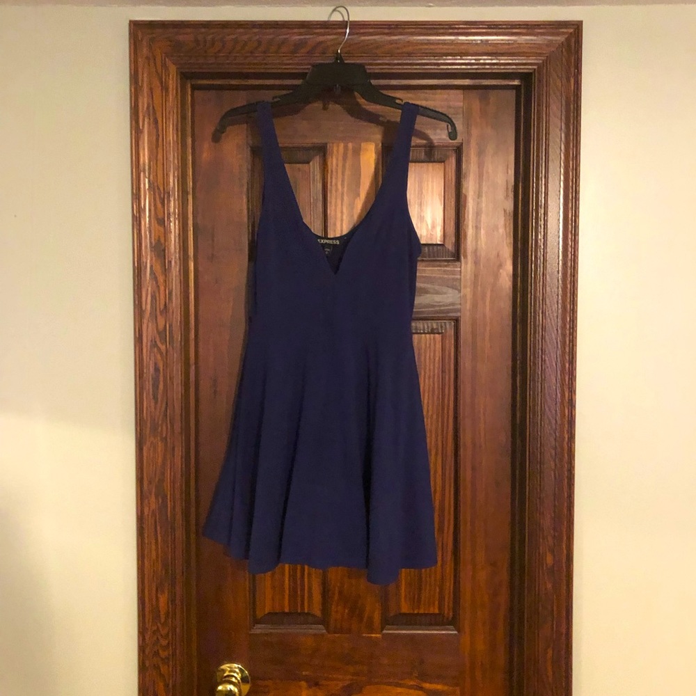Express Navy Dress